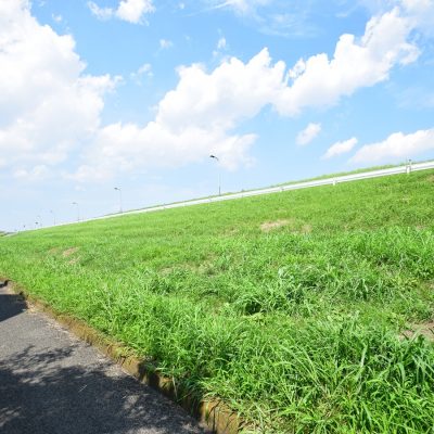 江戸川河川敷まで約26ｍ（徒歩１分）