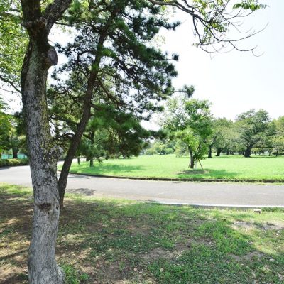 篠崎公園まで約220ｍ（徒歩3分）